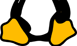 Featured image of post Linux